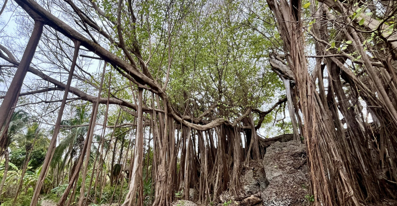 Isla Fuerte, Playa de San Diego: Descubre el paraíso