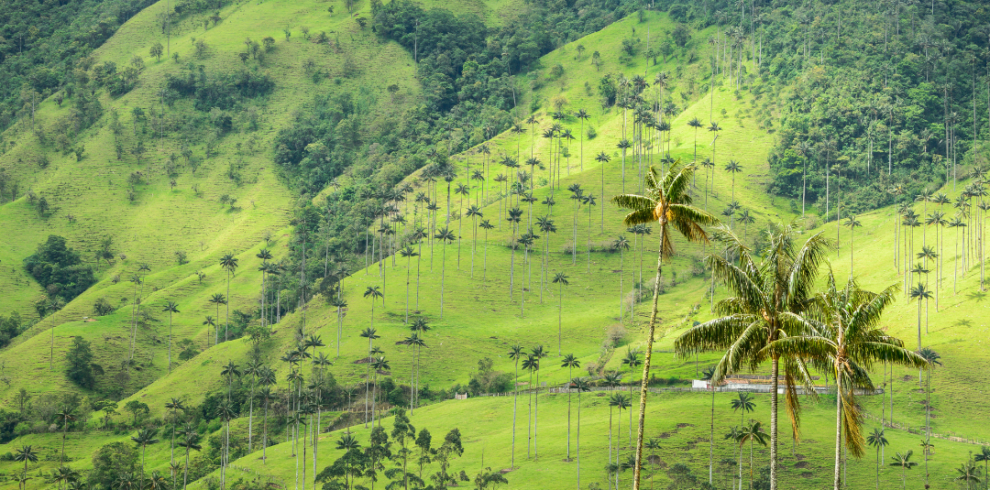 Quindío